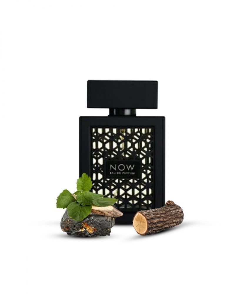 عطر ريف ناو الأسود RAVE NOW EAU DE PARFUM للرجال 100 مل - الصورة 2